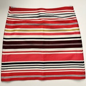 Striped Multicolor Women's Skirt